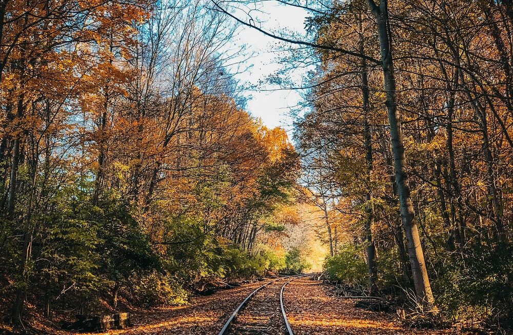 Ouverture des ventes des billets de train – automne 2021
