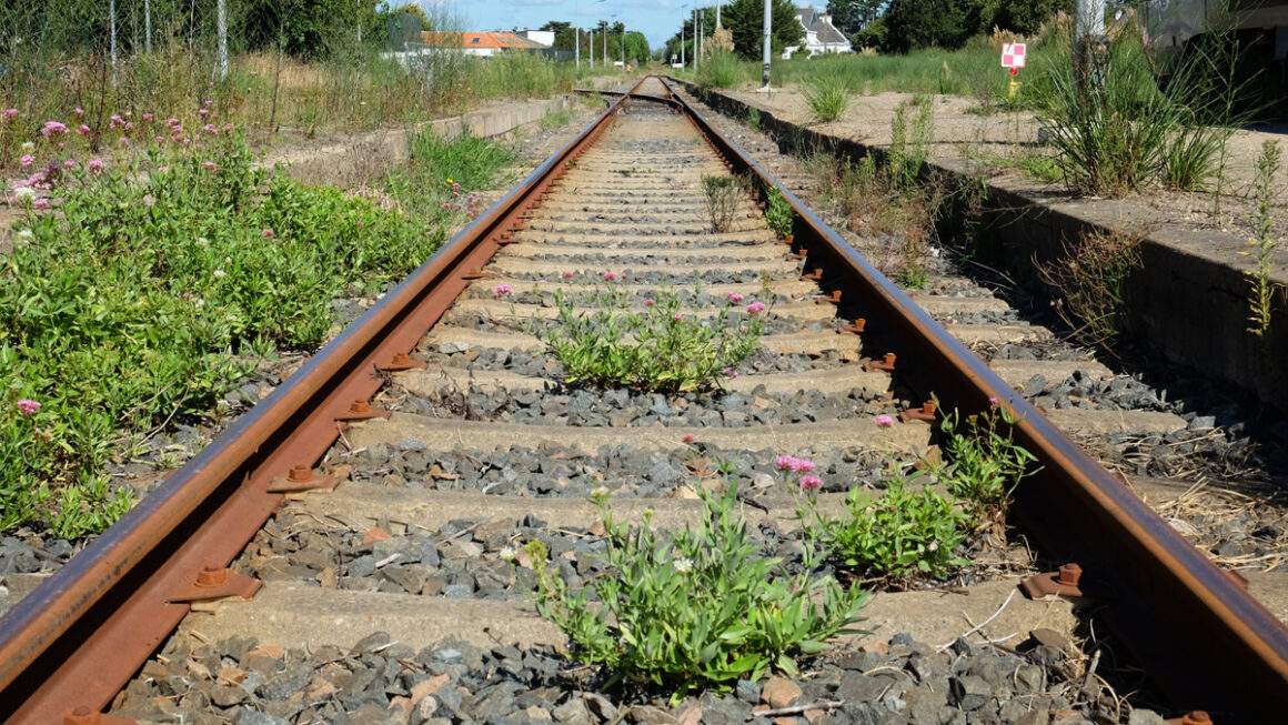 Ouverture des ventes des billets de train – printemps 2026 – les dates à ne pas manquer !