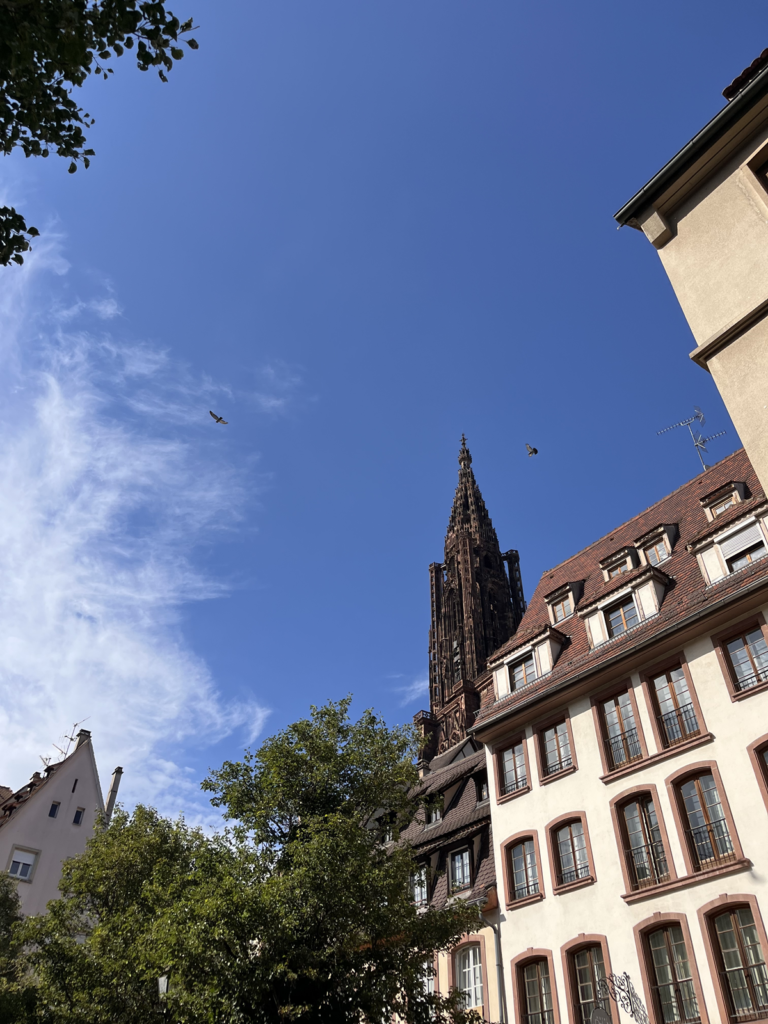 Railtrip vers l'Allemagne : arrêt à Strasbourg