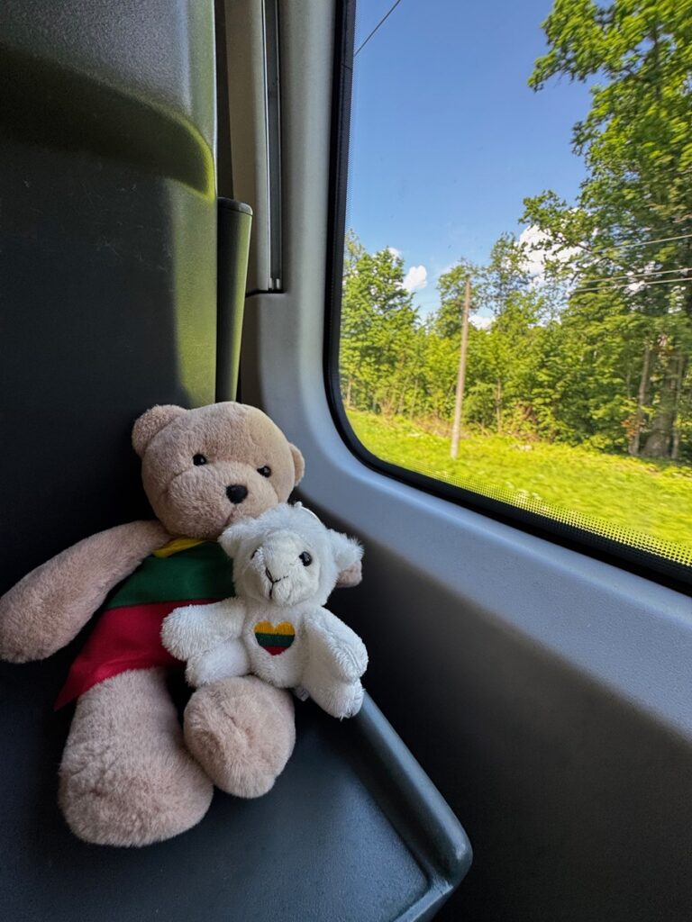 Peluches dans le train - Lituanie