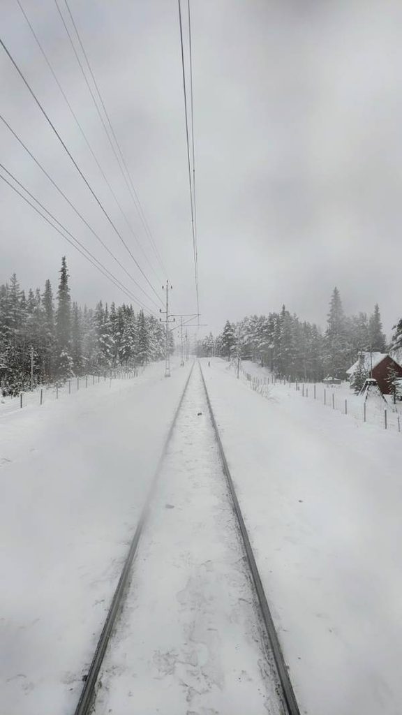 Paysages du train de nuit Stockholm - Narvik - photo voyagerentrain.fr